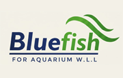 blue-fish-aquarium