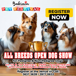 bahrain national dog show