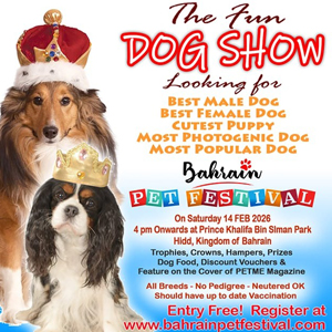 the fun dog show